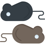 mice
