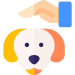 pet