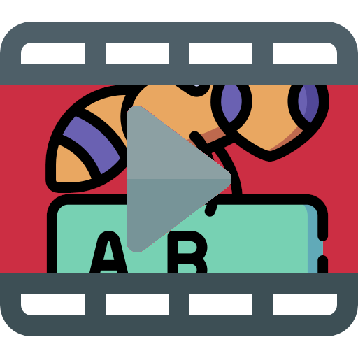 video button